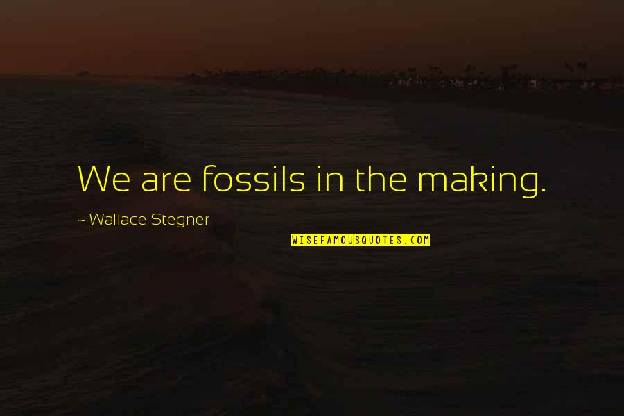 Elsun Adi Quotes By Wallace Stegner: We are fossils in the making.