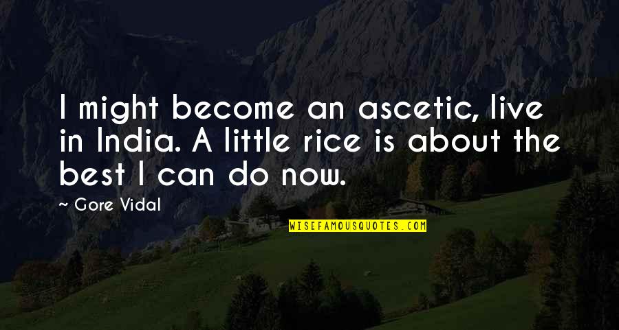 Email Reply Quotes By Gore Vidal: I might become an ascetic, live in India.