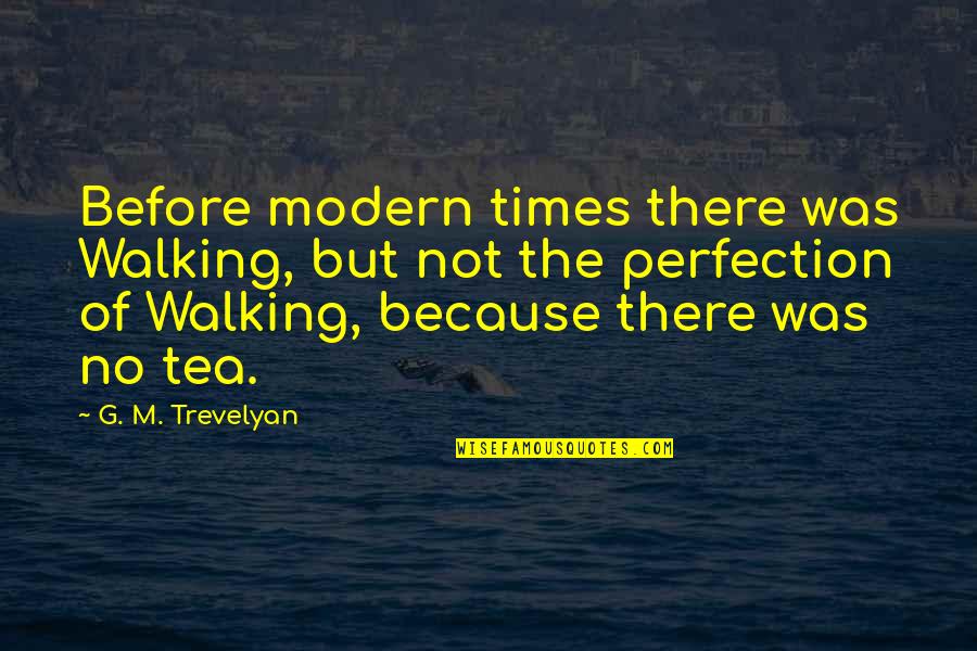 Emanaciones Significado Quotes By G. M. Trevelyan: Before modern times there was Walking, but not