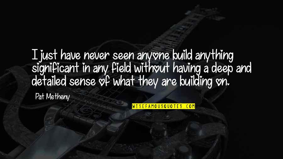 Emigrant's Quotes By Pat Metheny: I just have never seen anyone build anything