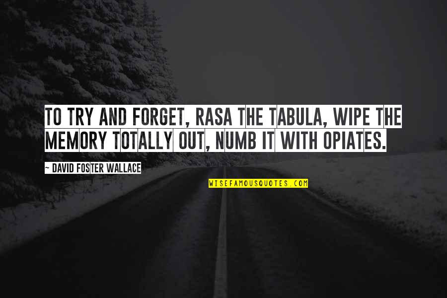 Emily Bront Quotes By David Foster Wallace: To try and forget, rasa the tabula, wipe