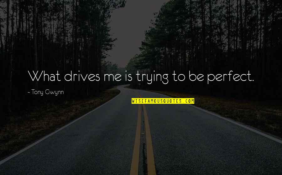 Eminem Fine Line Quotes By Tony Gwynn: What drives me is trying to be perfect.