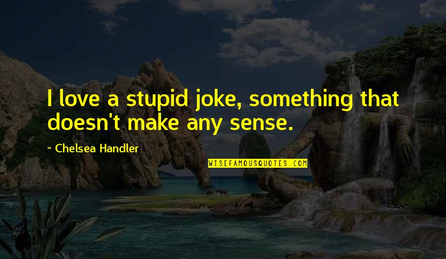 Empeorar Sinonimos Quotes By Chelsea Handler: I love a stupid joke, something that doesn't