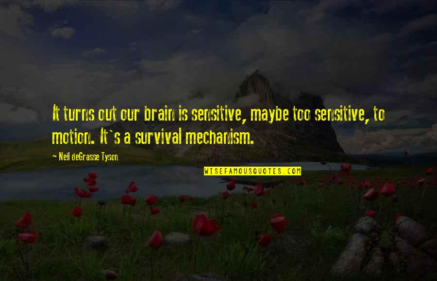 Encrease Quotes By Neil DeGrasse Tyson: It turns out our brain is sensitive, maybe