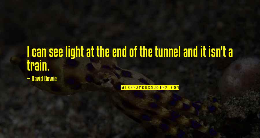 End Tunnel Quotes By David Bowie: I can see light at the end of