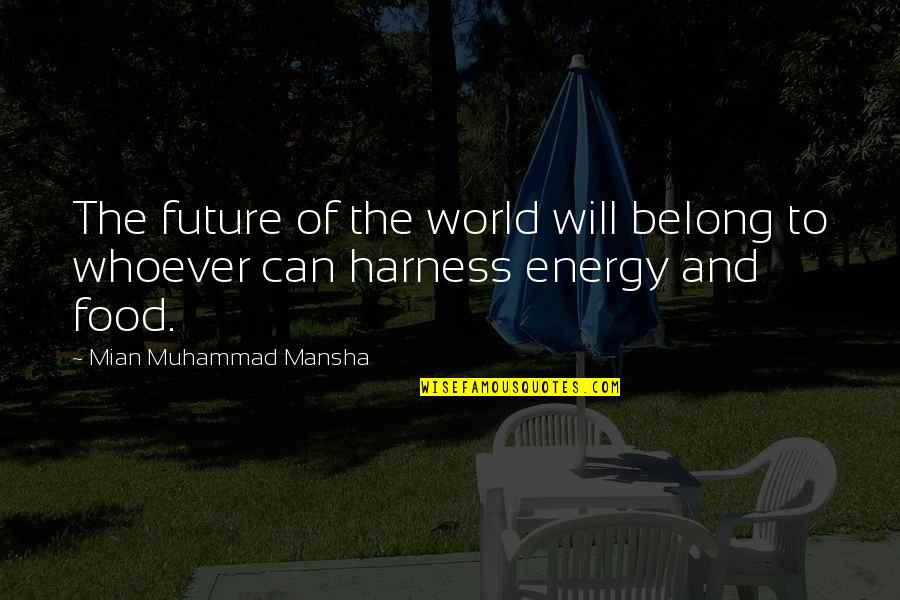 Energy Of The World Quotes By Mian Muhammad Mansha: The future of the world will belong to