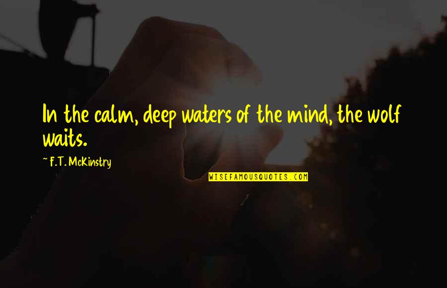 Enigme Sympa Quotes By F.T. McKinstry: In the calm, deep waters of the mind,