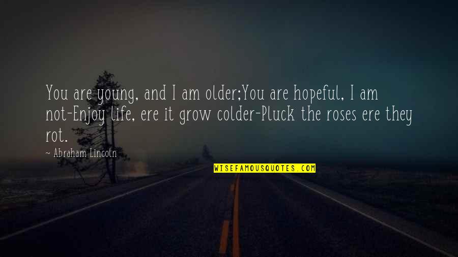 Enjoy And Life Quotes By Abraham Lincoln: You are young, and I am older;You are