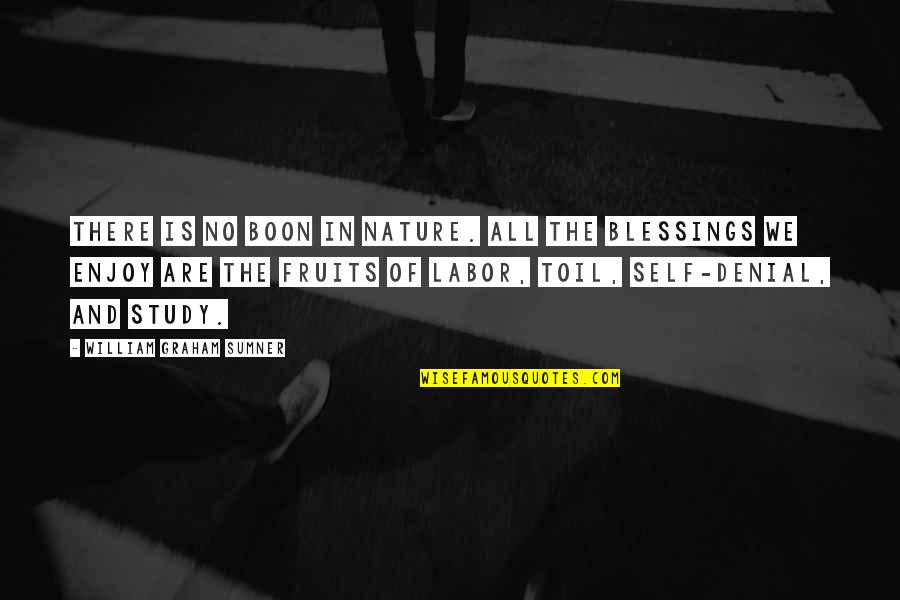 Enjoy The Blessings Quotes By William Graham Sumner: There is no boon in nature. All the