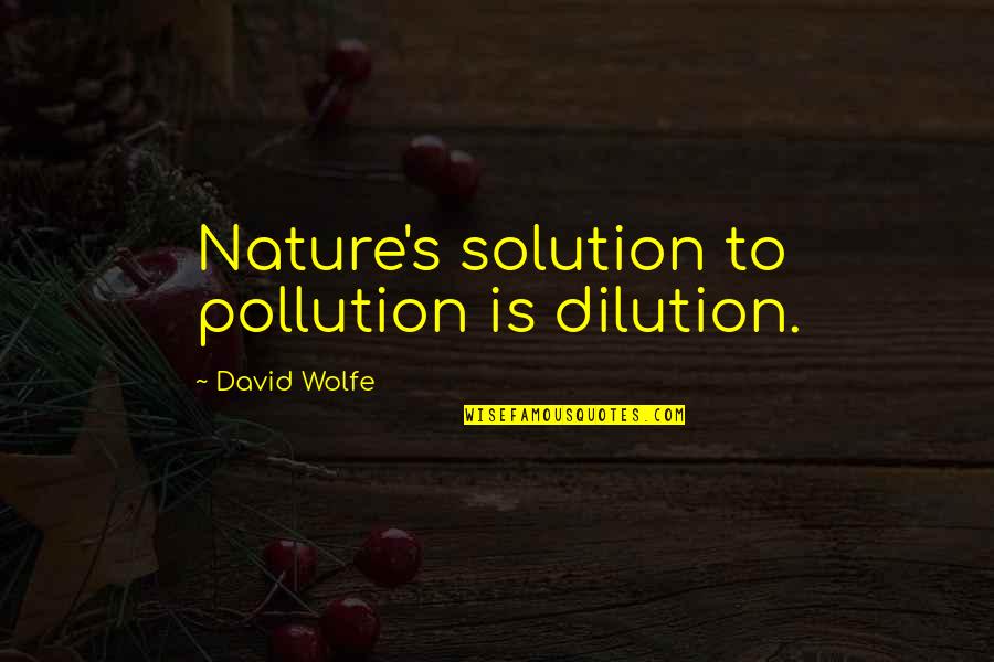 Enthymeme Pronunciation Quotes By David Wolfe: Nature's solution to pollution is dilution.