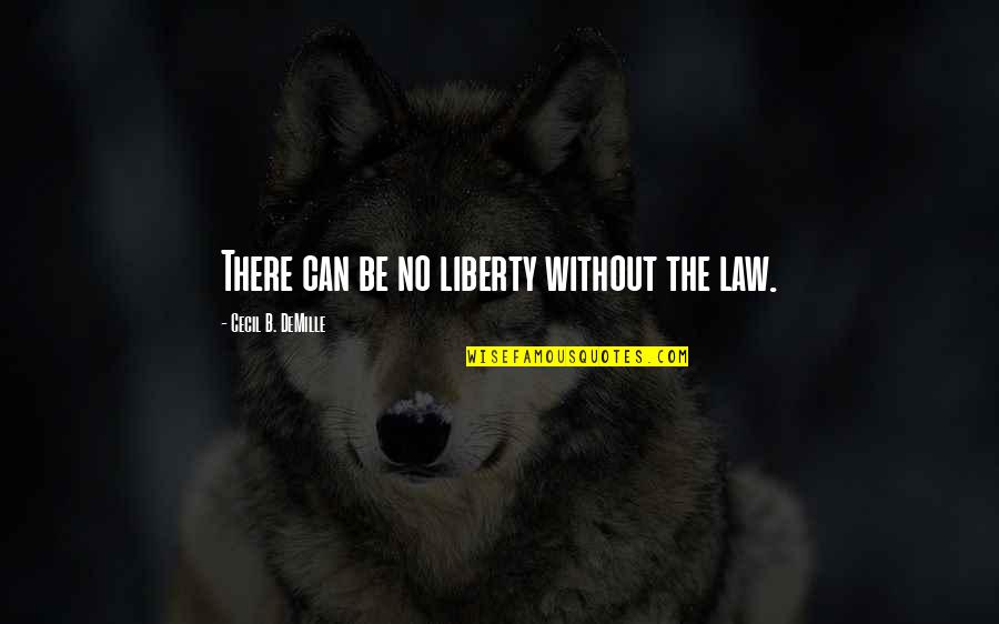 Environment And Animals Quotes By Cecil B. DeMille: There can be no liberty without the law.