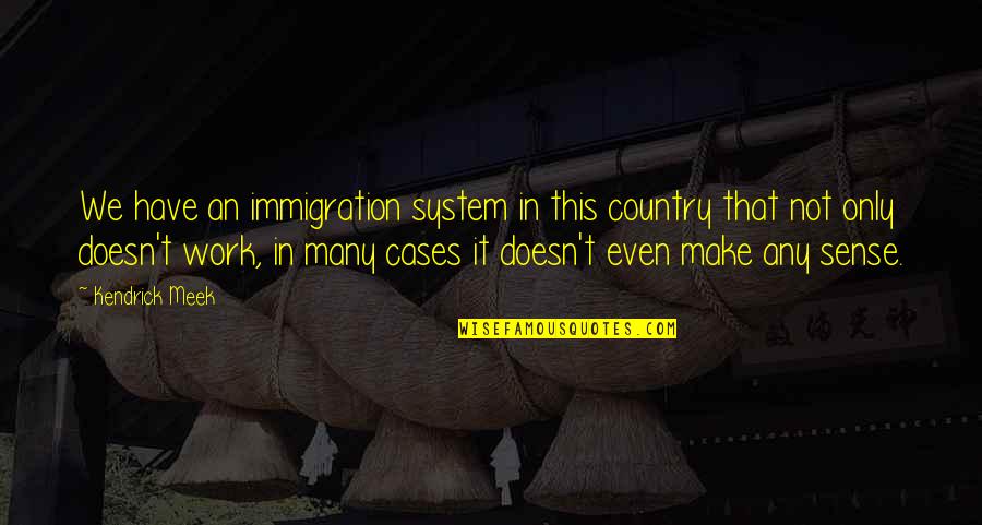 Ephiphany Quotes By Kendrick Meek: We have an immigration system in this country