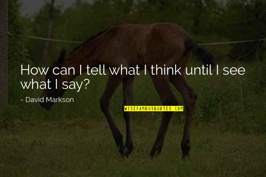 Erblich Fliegerschule Quotes By David Markson: How can I tell what I think until