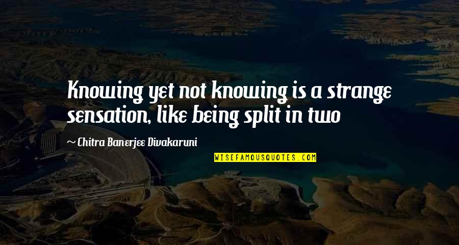 Erich Schiffman Quotes By Chitra Banerjee Divakaruni: Knowing yet not knowing is a strange sensation,