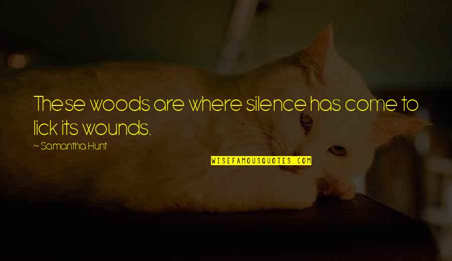 Esterifikace Quotes By Samantha Hunt: These woods are where silence has come to