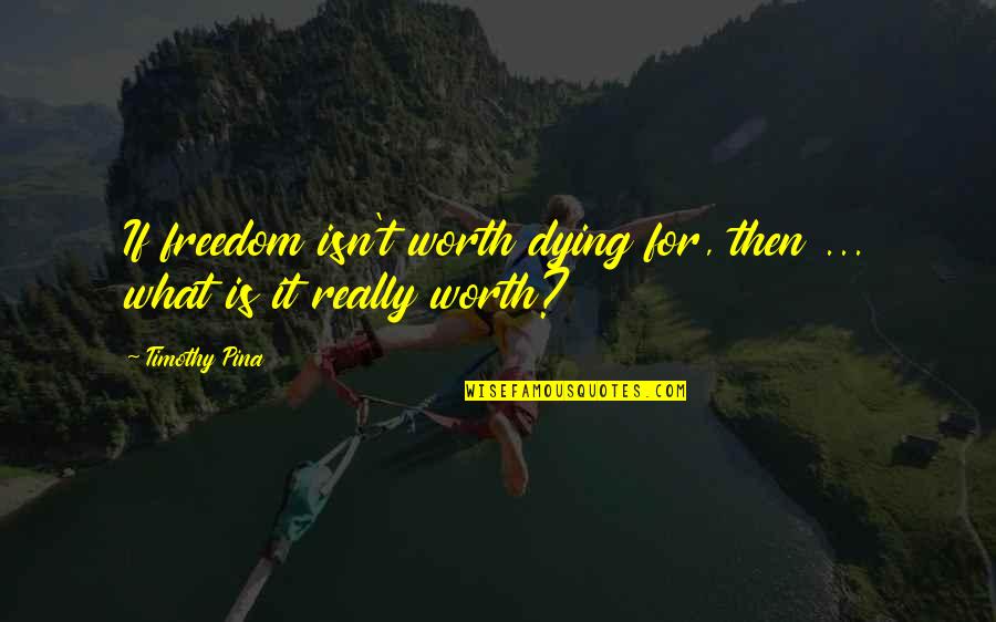 Estok Plastics Quotes By Timothy Pina: If freedom isn't worth dying for, then ...