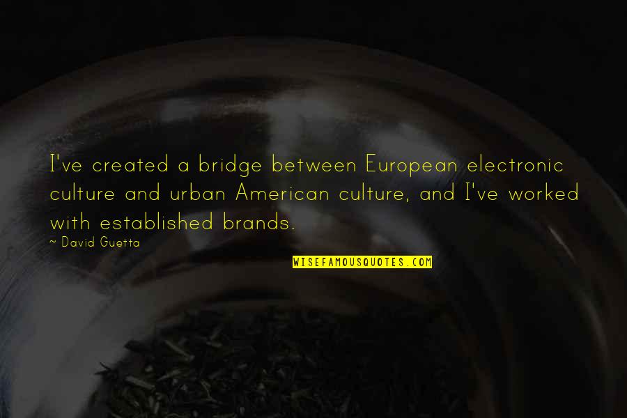 European And American Quotes By David Guetta: I've created a bridge between European electronic culture