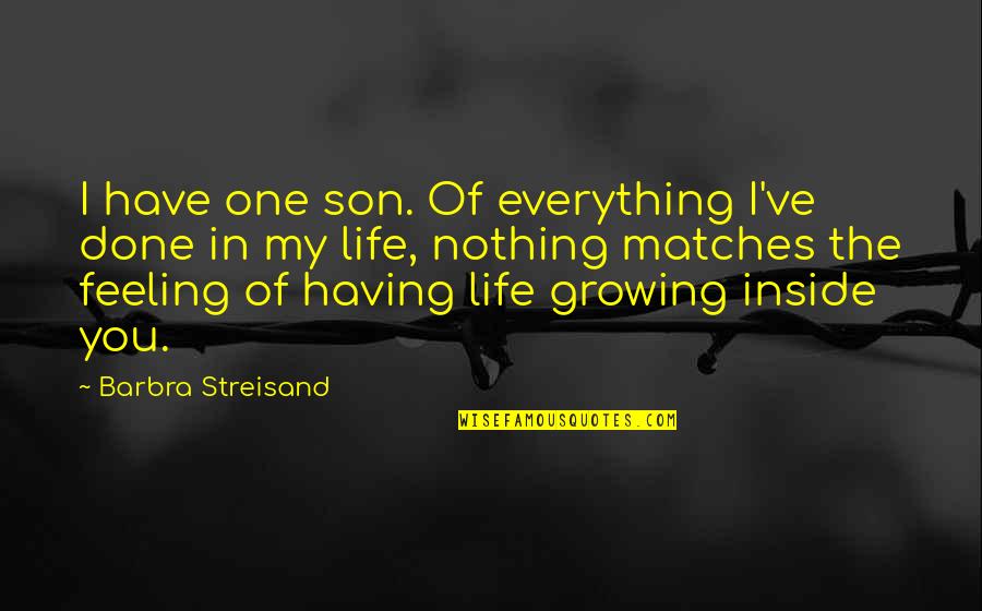 Everything Nothing Quotes By Barbra Streisand: I have one son. Of everything I've done