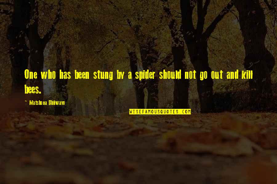 Evocar Ou Quotes By Matshona Dhliwayo: One who has been stung by a spider