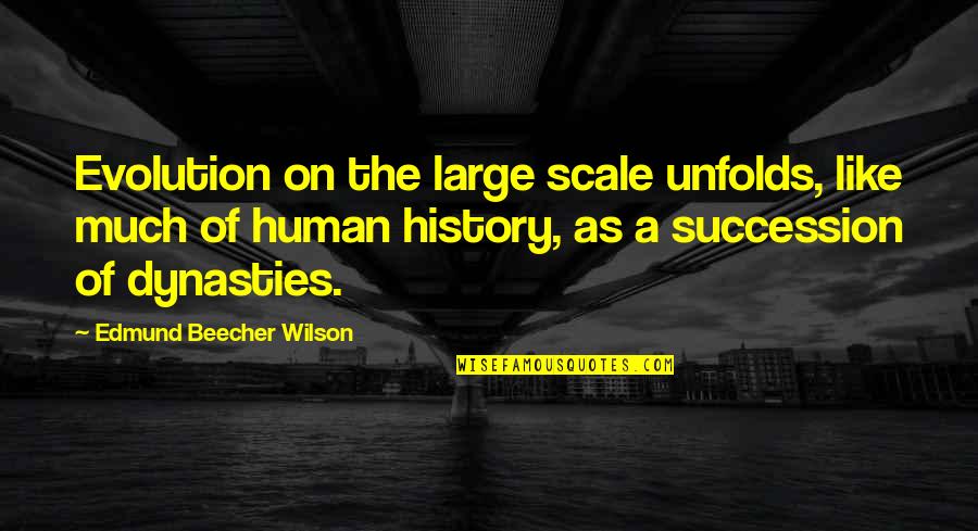 Evolution Of Human Quotes By Edmund Beecher Wilson: Evolution on the large scale unfolds, like much