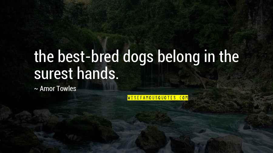 Exemple Quotes By Amor Towles: the best-bred dogs belong in the surest hands.