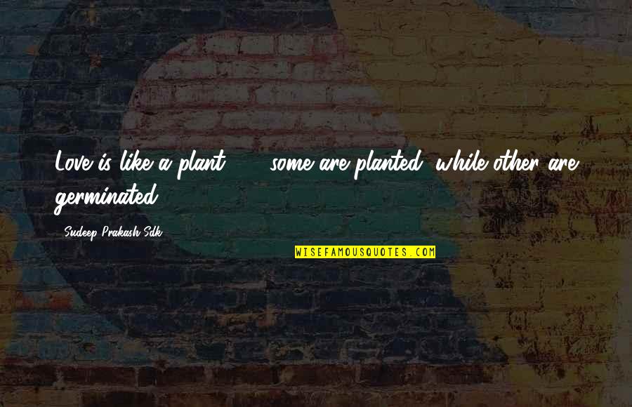 Experience Is Like Quotes By Sudeep Prakash Sdk: Love is like a plant ... ; some