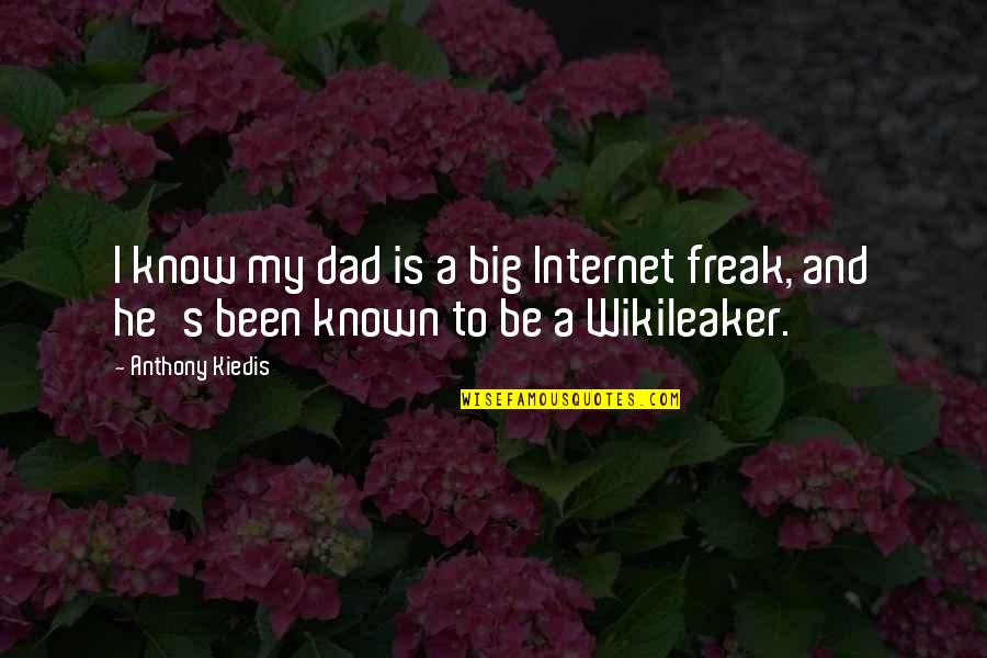 Extraordinary Short Quotes By Anthony Kiedis: I know my dad is a big Internet