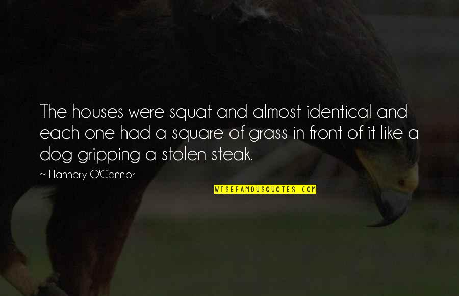 Extrapolated Vs Interpolated Quotes By Flannery O'Connor: The houses were squat and almost identical and