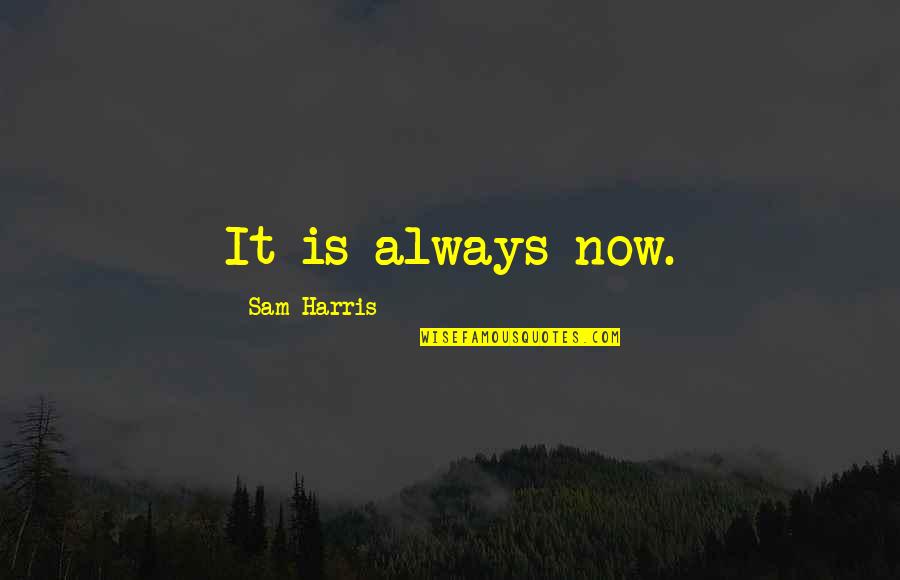 Fabulation Define Quotes By Sam Harris: It is always now.