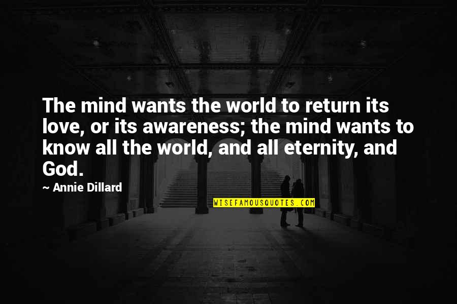 Face Makeup Quotes By Annie Dillard: The mind wants the world to return its