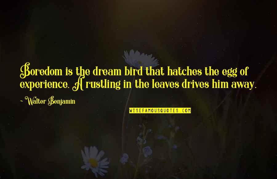 Facetiousness Pronunciation Quotes By Walter Benjamin: Boredom is the dream bird that hatches the