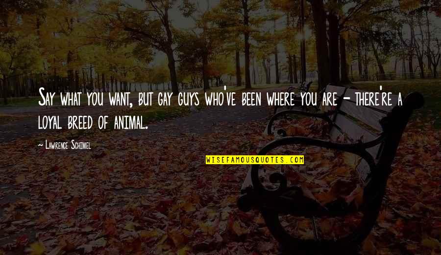 Faeces Colour Quotes By Lawrence Schimel: Say what you want, but gay guys who've