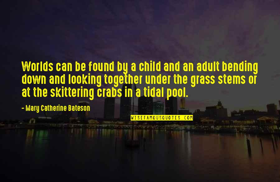 Failed Dreams Quotes By Mary Catherine Bateson: Worlds can be found by a child and