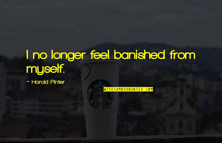 Failure To Understand Quotes By Harold Pinter: I no longer feel banished from myself.