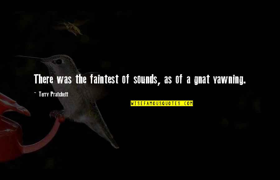 Faintest Quotes By Terry Pratchett: There was the faintest of sounds, as of