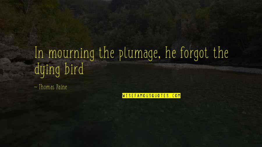 Fall Nail Quotes By Thomas Paine: In mourning the plumage, he forgot the dying