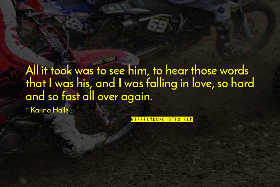 Falling Hard Quotes By Karina Halle: All it took was to see him, to