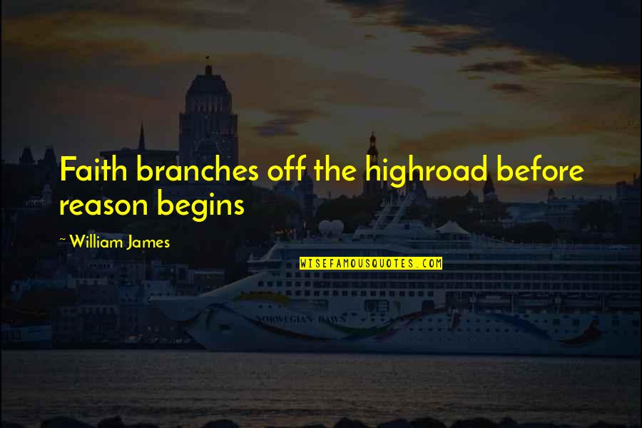 Faltisco Dentist Quotes By William James: Faith branches off the highroad before reason begins