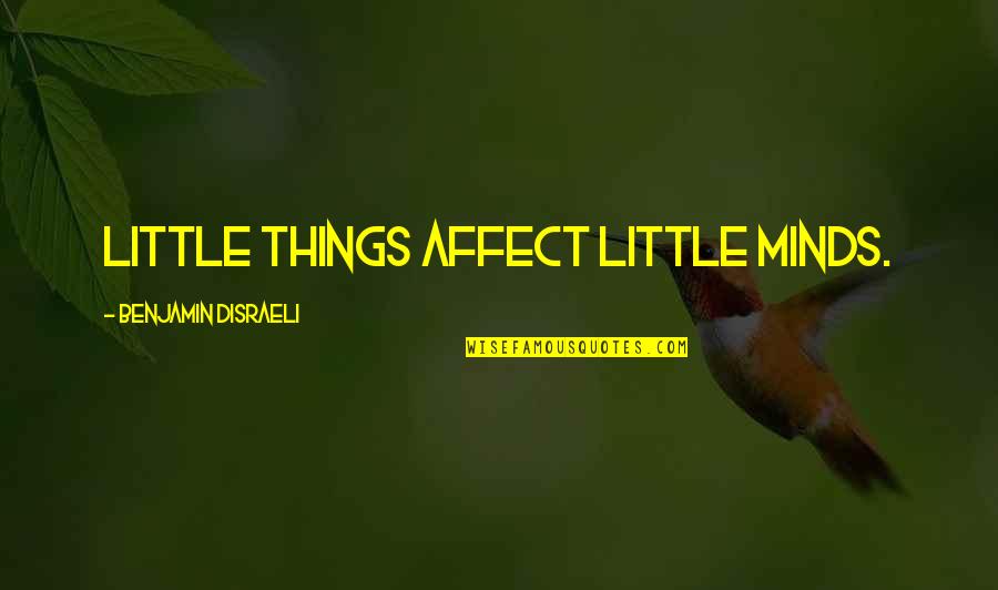 Family Coming Together Quotes By Benjamin Disraeli: Little things affect little minds.