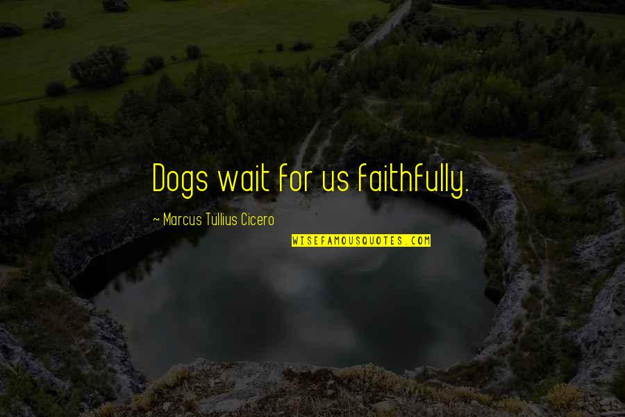 Family Moments Quotes By Marcus Tullius Cicero: Dogs wait for us faithfully.