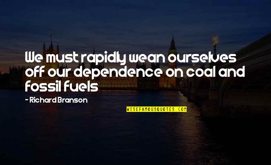 Family Rituals Quotes By Richard Branson: We must rapidly wean ourselves off our dependence