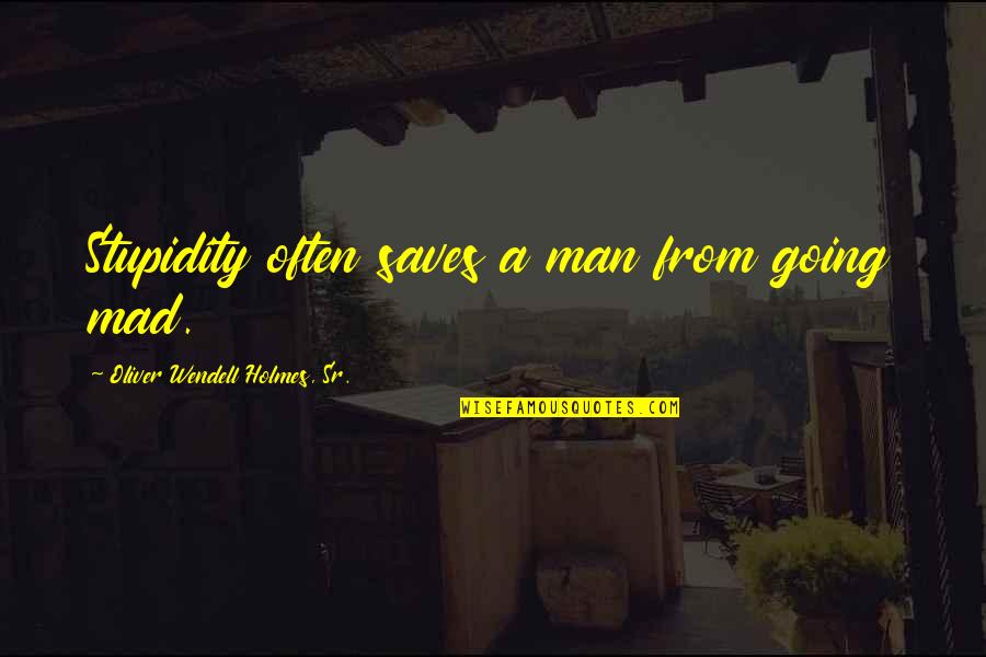 Famous Illustration Quotes By Oliver Wendell Holmes, Sr.: Stupidity often saves a man from going mad.