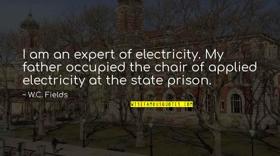 Famous Postman Pat Quotes By W.C. Fields: I am an expert of electricity. My father