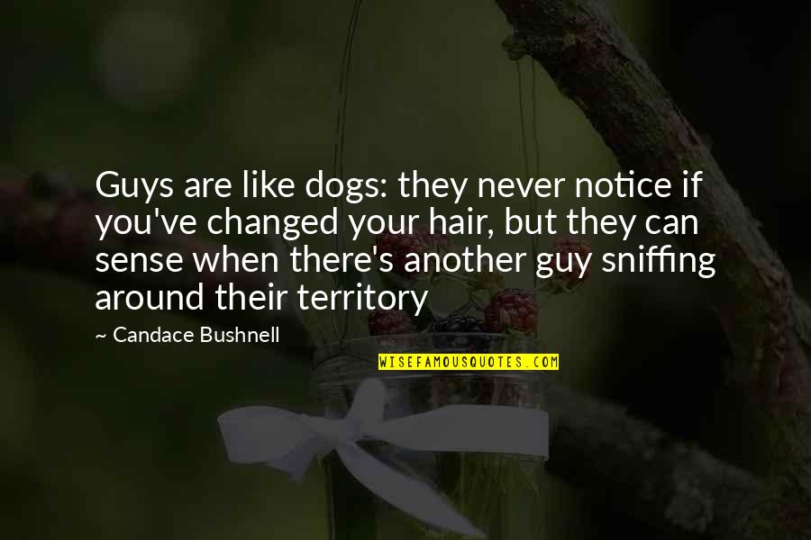 Famous Sookie Stackhouse Quotes By Candace Bushnell: Guys are like dogs: they never notice if