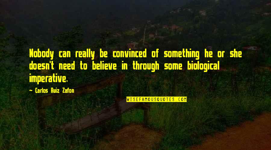 Fanatically First Grade Quotes By Carlos Ruiz Zafon: Nobody can really be convinced of something he