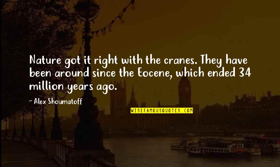 Fanduel Best Players Quotes By Alex Shoumatoff: Nature got it right with the cranes. They