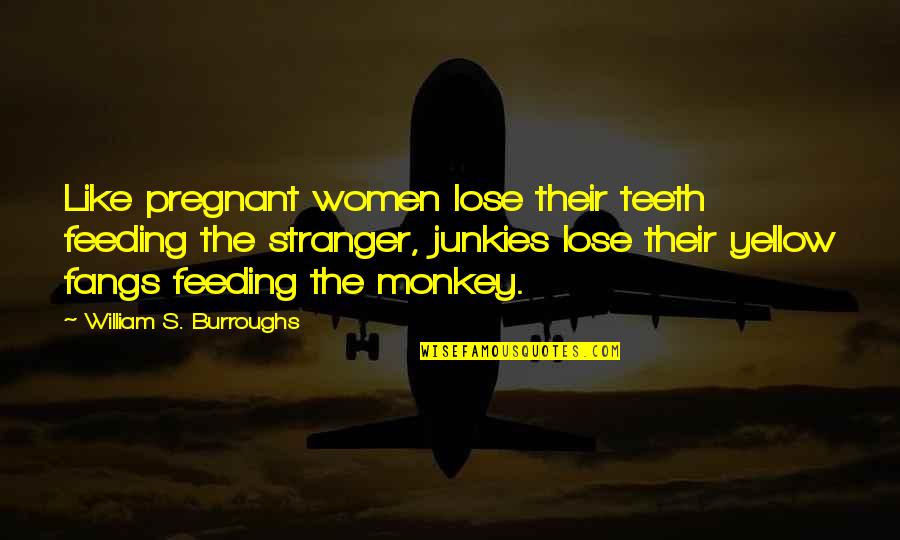 Fangs Quotes By William S. Burroughs: Like pregnant women lose their teeth feeding the