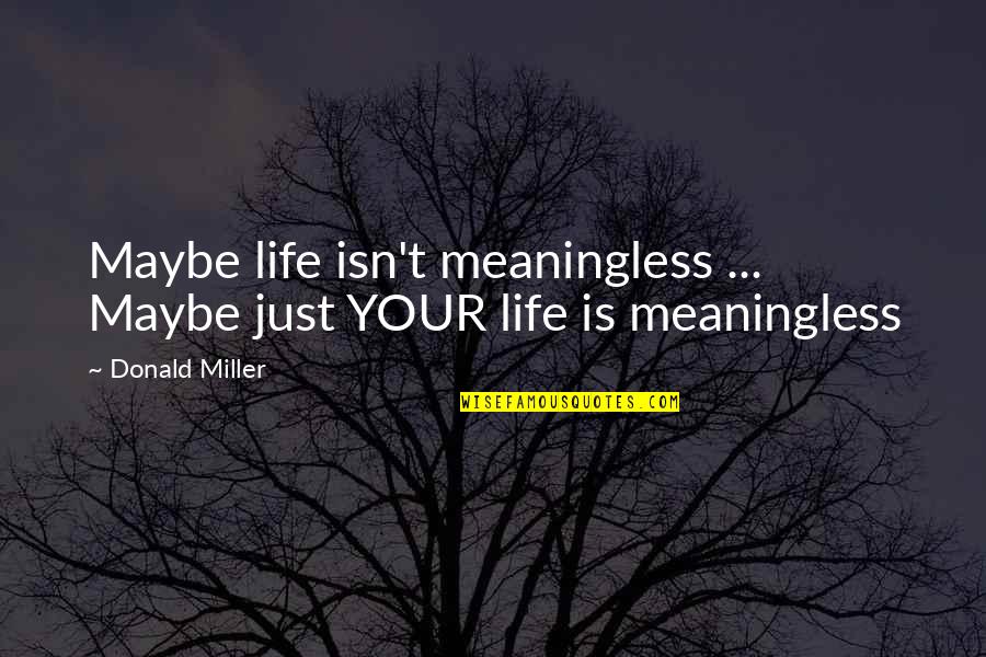 Farshid Etniko Quotes By Donald Miller: Maybe life isn't meaningless ... Maybe just YOUR