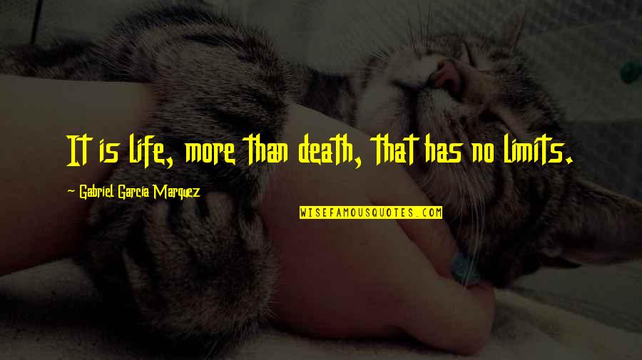 Fat Amy Quotes By Gabriel Garcia Marquez: It is life, more than death, that has