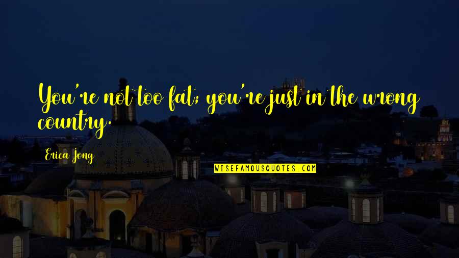 Fat Just Too Fat Quotes By Erica Jong: You're not too fat; you're just in the